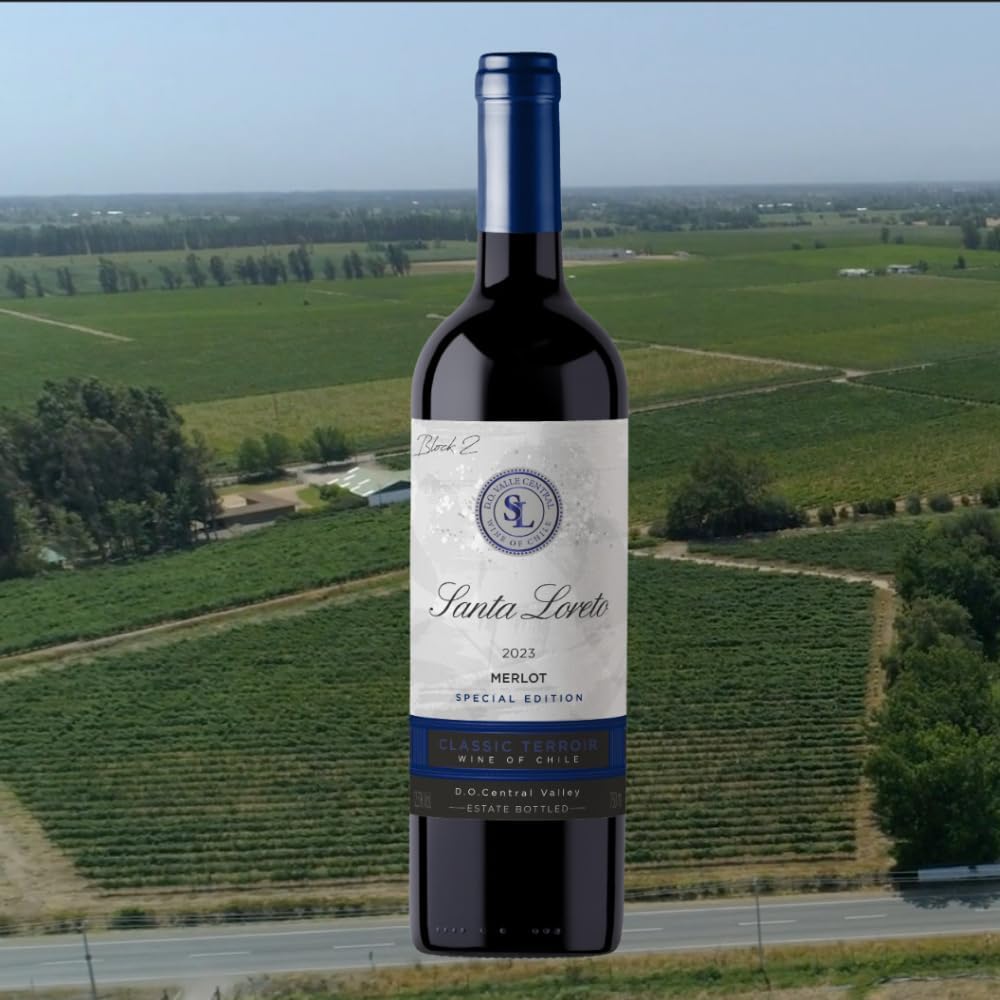 Vinho Fino Tinto Chileno Santa Loreto Varietal Merlot 750ml - Imagem 5